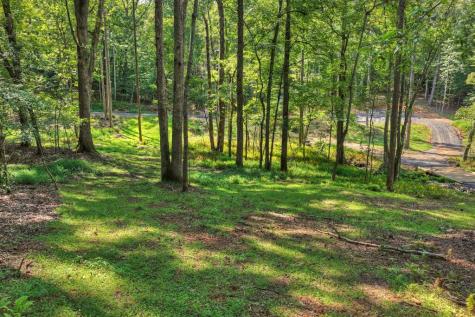 00 River Way Blue Ridge GA 30513