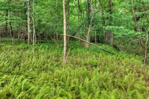 00 River Way Blue Ridge GA 30513