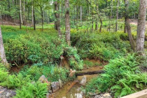 00 River Way Blue Ridge GA 30513