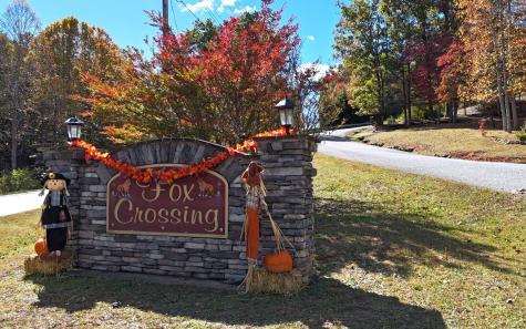 Lt 14 Fox Crossing Blairsville GA 30512