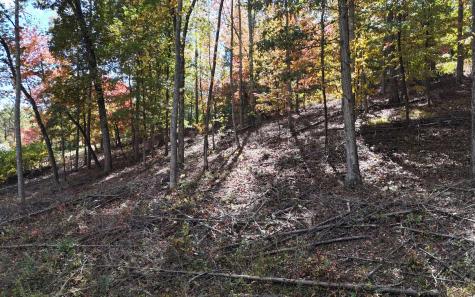 Lt 14 Fox Crossing Blairsville GA 30512