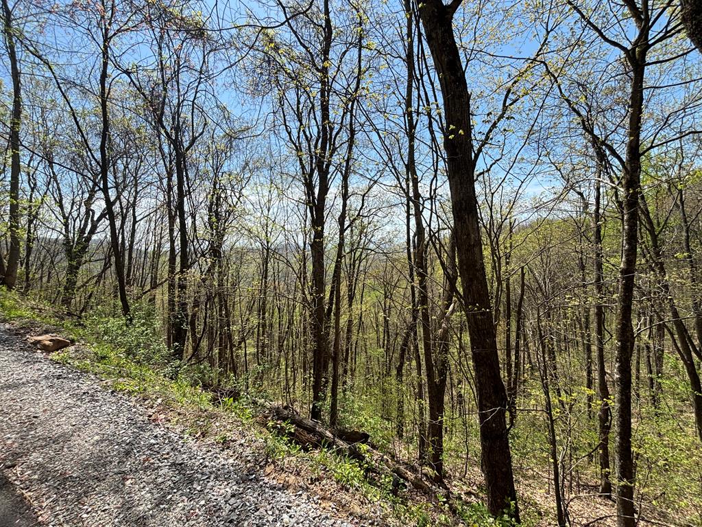 Lot 4 Outlook Road Murphy NC 28906