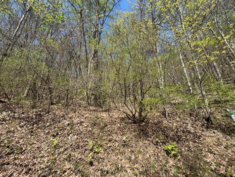 Lot 4 Outlook Road Murphy NC 28906