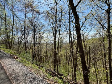 Lot 4 Outlook Road Murphy NC 28906