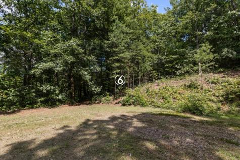 Lot 6 Timber Lane Court Turtletown TN 37391