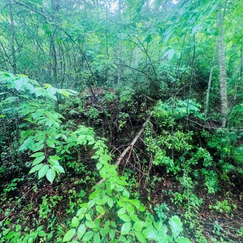 00 Owl Creek Ridge Murphy NC 28906