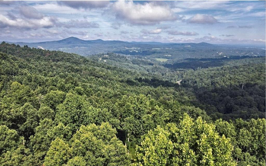 Lt 95 Thirteen Hundred Blairsville GA 30512