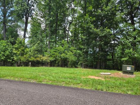 Lt 95 Thirteen Hundred Blairsville GA 30512