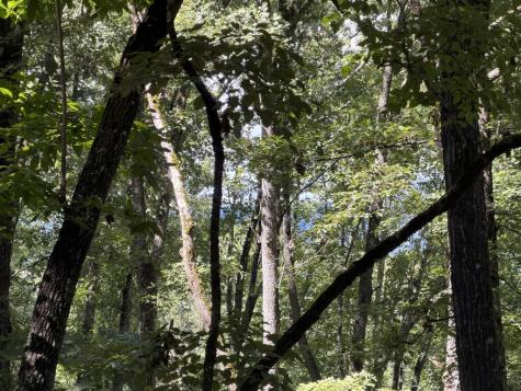Lot 33 Falcon Overlook Hayesville NC 20894