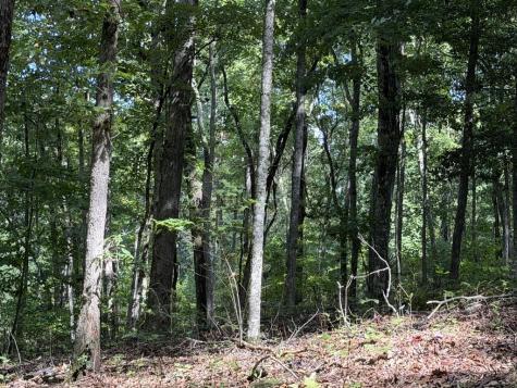Lot 33 Falcon Overlook Hayesville NC 20894