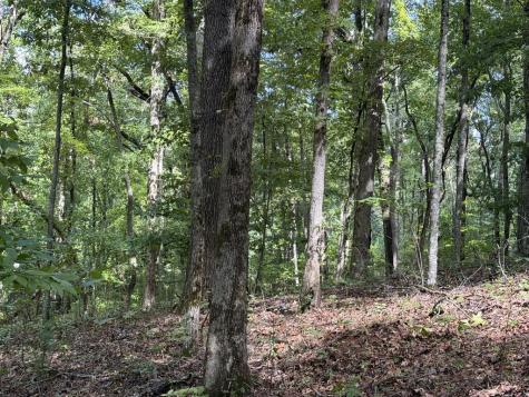 Lot 33 Falcon Overlook Hayesville NC 20894