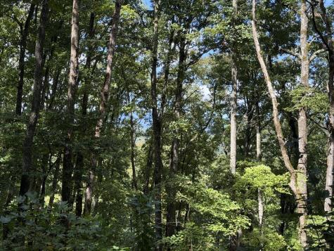 Lot 33 Falcon Overlook Hayesville NC 20894