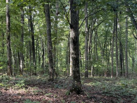 Lot 33 Falcon Overlook Hayesville NC 20894