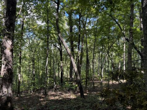 Lot 33 Falcon Overlook Hayesville NC 20894