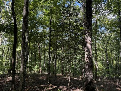 Lot 33 Falcon Overlook Hayesville NC 20894