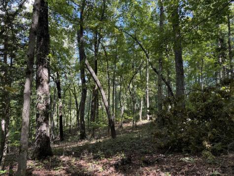 Lot 33 Falcon Overlook Hayesville NC 20894