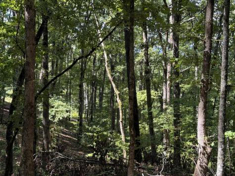 Lot 33 Falcon Overlook Hayesville NC 20894