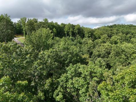 Lot 100 Valley Crest Drive Blairsville GA 30512