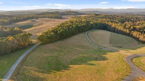 Lot 28 Bravo Way Talking Rock GA 30175