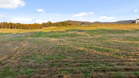 Lot 28 Bravo Way Talking Rock GA 30175