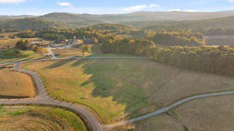 Lot 28 Bravo Way Talking Rock GA 30175