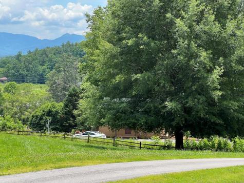 Lot 8 Cabin Drive Hayesville NC 28904