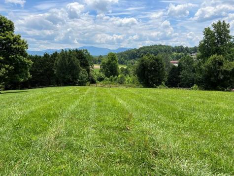 Lot 8 Cabin Drive Hayesville NC 28904