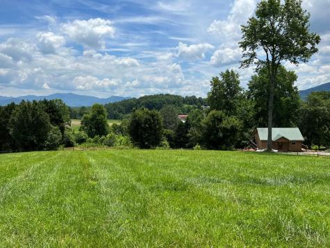 Lot 8 Cabin Drive Hayesville NC 28904