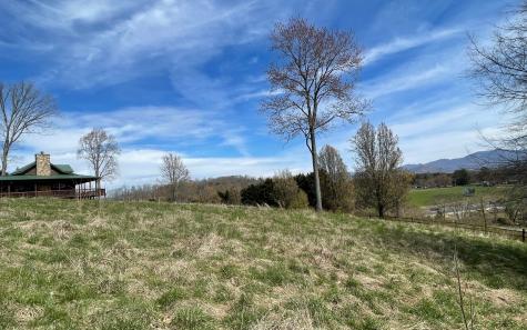 Lot 8 Cabin Drive Hayesville NC 28904
