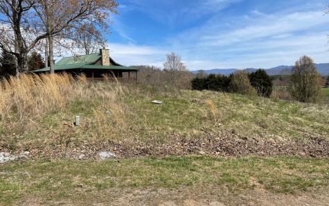 Lot 8 Cabin Drive Hayesville NC 28904