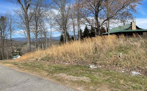 Lot 8 Cabin Drive Hayesville NC 28904