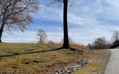 Lot 8 Cabin Drive Hayesville NC 28904