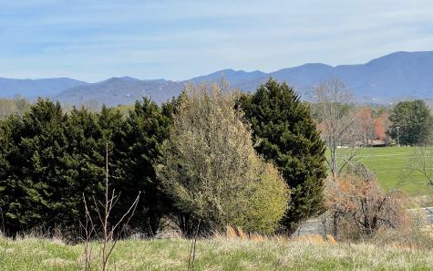Lot 8 Cabin Drive Hayesville NC 28904