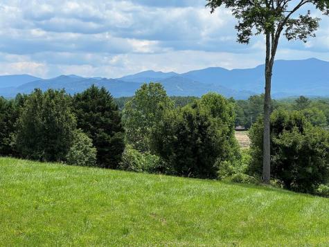 Lot 8 Cabin Drive Hayesville NC 28904