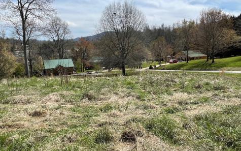 Lot 8 Cabin Drive Hayesville NC 28904