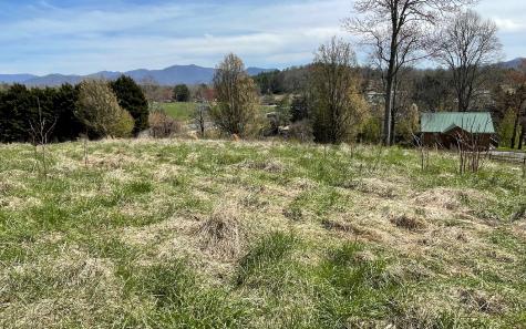 Lot 8 Cabin Drive Hayesville NC 28904