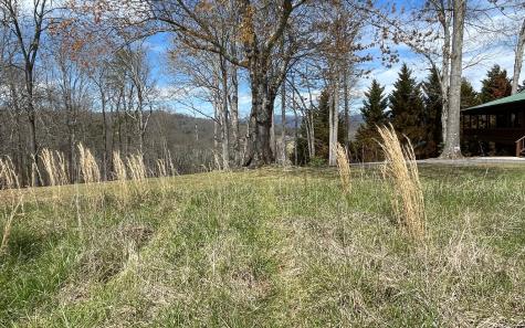 Lot 8 Cabin Drive Hayesville NC 28904