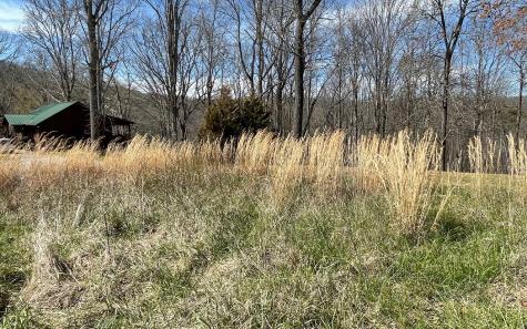 Lot 8 Cabin Drive Hayesville NC 28904