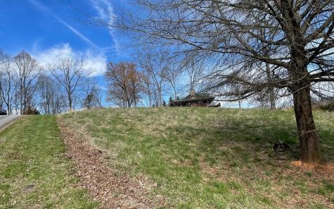 Lot 8 Cabin Drive Hayesville NC 28904