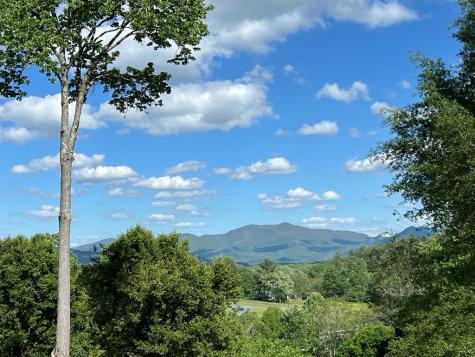 Lot 8 Cabin Drive Hayesville NC 28904