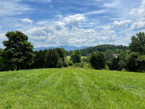 Lot 8 Cabin Drive Hayesville NC 28904