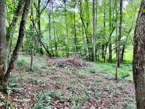 #3 Lower Fox Trail Blairsville GA 30512