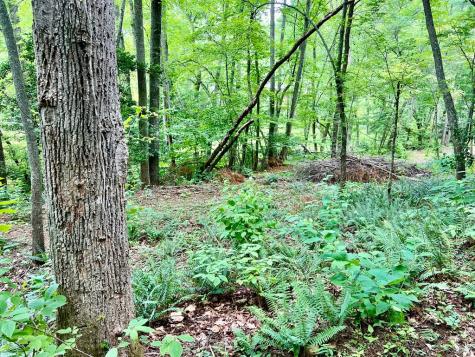 #3 Lower Fox Trail Blairsville GA 30512