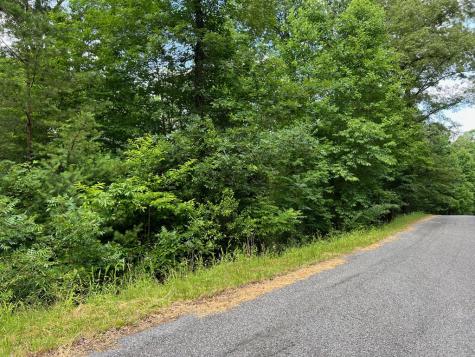 #3 Lower Fox Trail Blairsville GA 30512