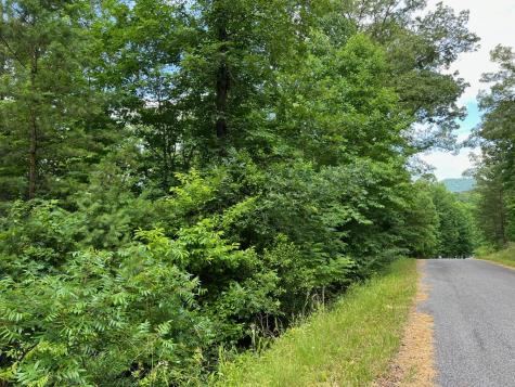 #3 Lower Fox Trail Blairsville GA 30512