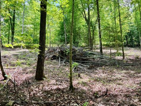 #3 Lower Fox Trail Blairsville GA 30512