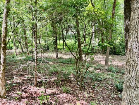 #3 Lower Fox Trail Blairsville GA 30512