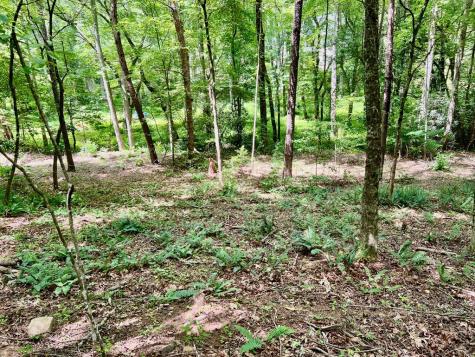 #3 Lower Fox Trail Blairsville GA 30512