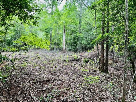 #3 Lower Fox Trail Blairsville GA 30512