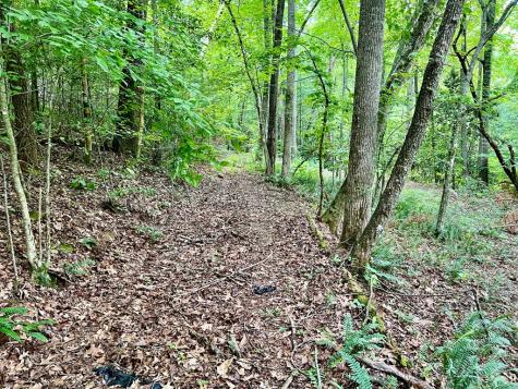 #3 Lower Fox Trail Blairsville GA 30512